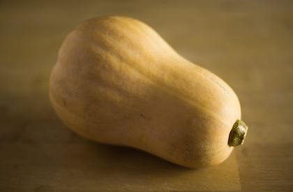 Butternut Squash