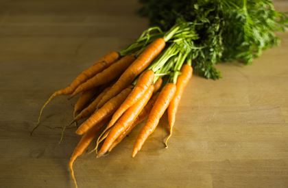 Bunched Carrots